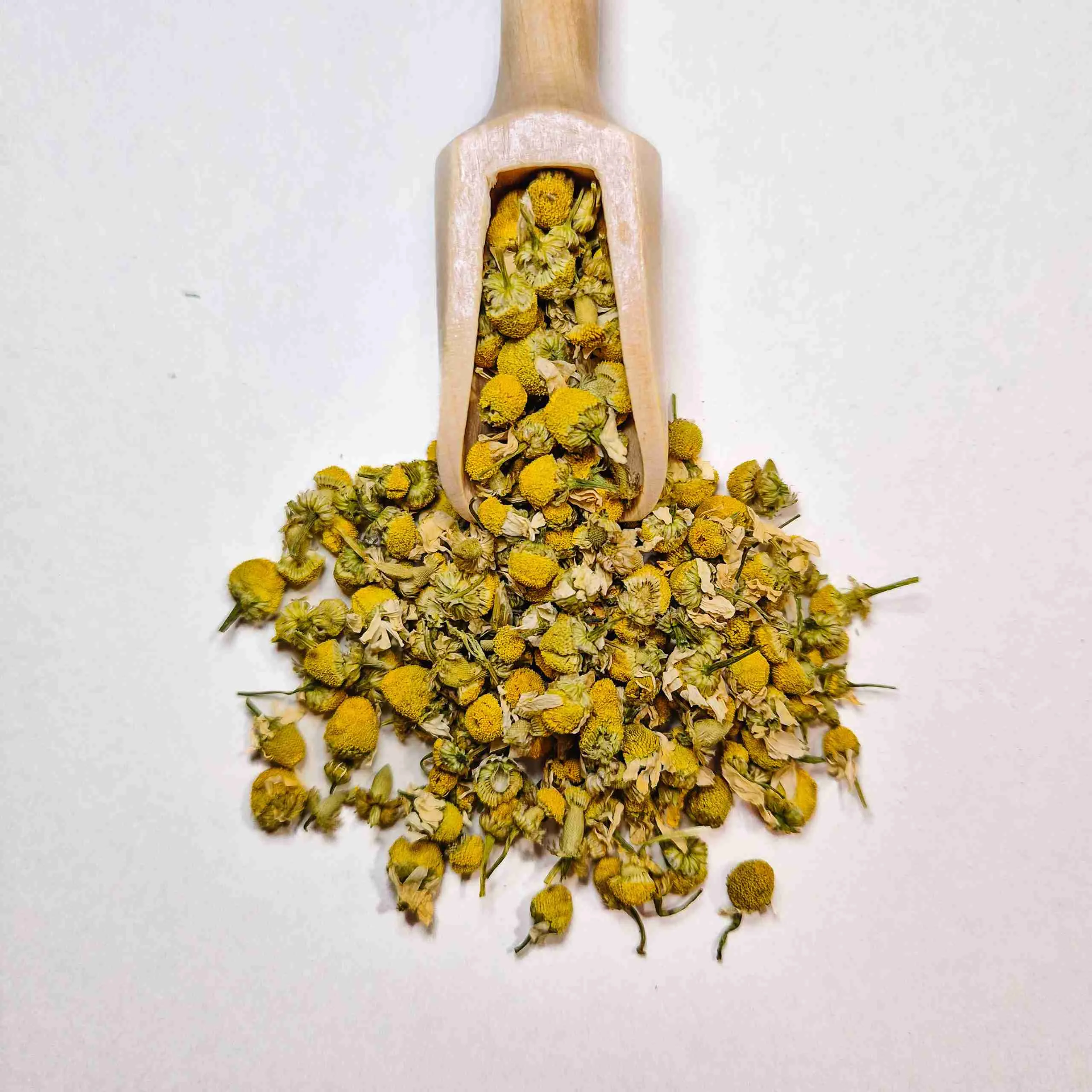 chamomile-flowers