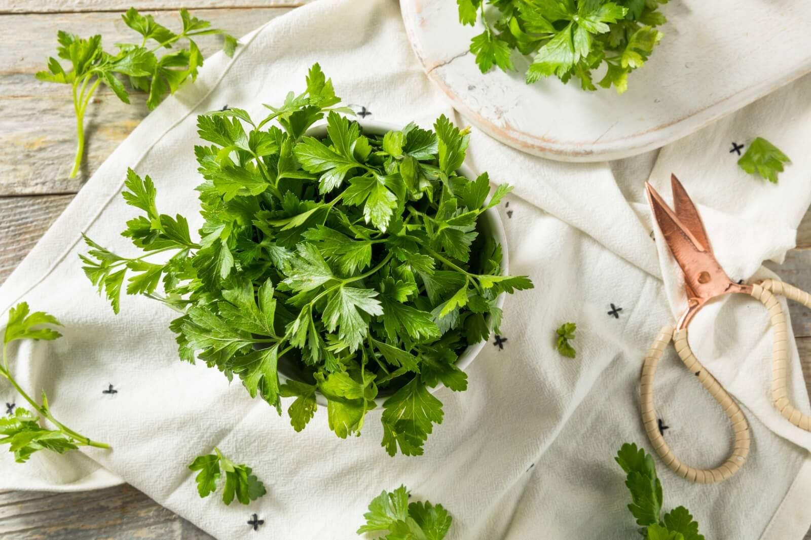 Shop Herbs